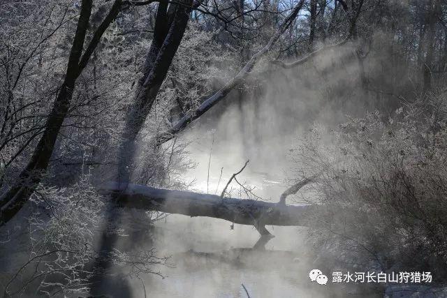这难道真的是破坏之王那？游戏画面