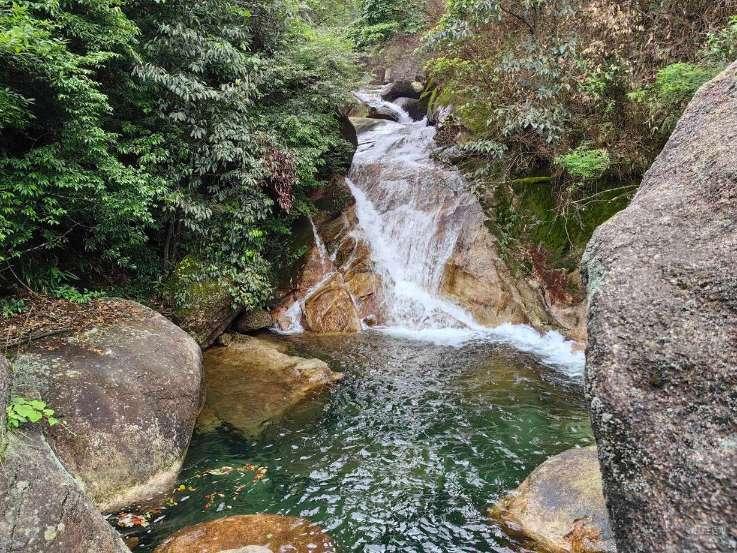 柳岩恋情曝光？神秘男子贴心陪伴，共度甜蜜时光