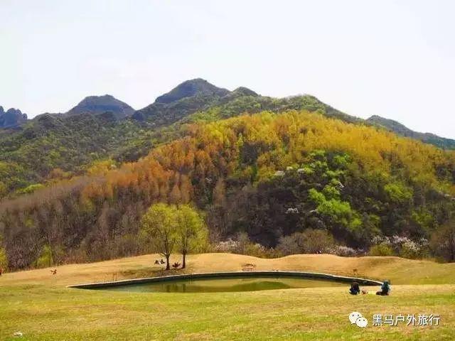八个月的孩子还没有接触过早教，报名小步在家早教有用吗？游戏画面